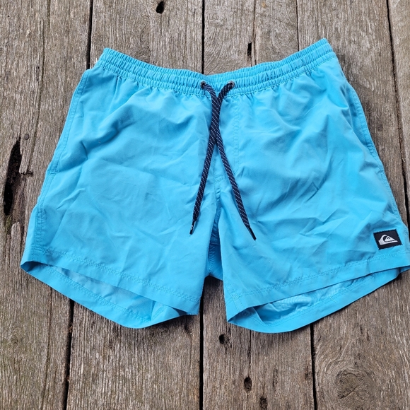 Quicksilver Everyday  Swim Trunks - Picture 1 of 3